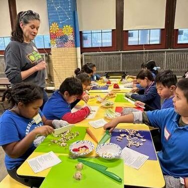 65ebc018d49e2.image 65ebc018d49e2.image